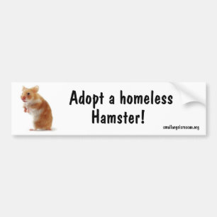Pegatina Para Coche Hámster Bumpersticker