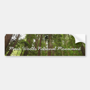 Pegatina Para Coche Hasta secuoyas en el Monumento Nacional Muir Woods
