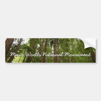 Pegatina Para Coche Hasta secuoyas en el Monumento Nacional Muir Woods
