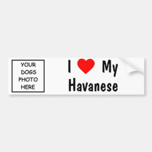 Pegatina Para Coche Havanese