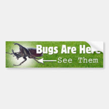 Hay Errores... Rhino Beetle Bumper Sticker