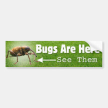 Hay Errores... Weevil Edition Bumper Sticker