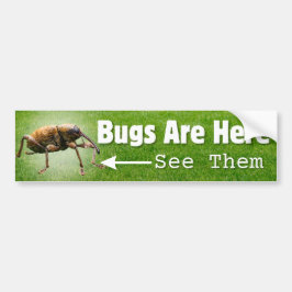 Pegatina Para Coche Hay Errores... Weevil Edition Bumper Sticker