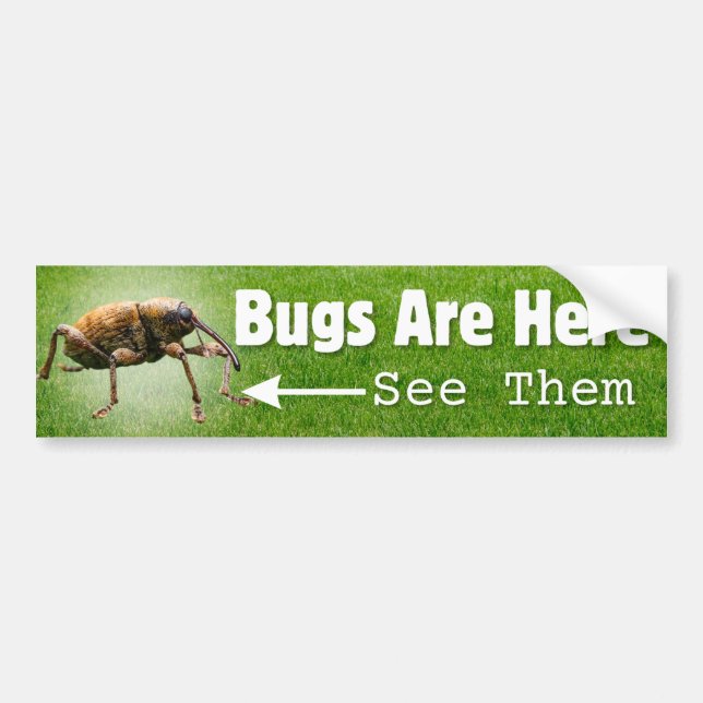 Pegatina Para Coche Hay Errores... Weevil Edition Bumper Sticker (Frente)