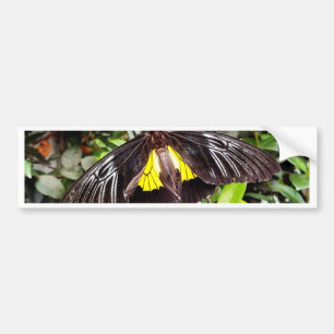 Pegatina Para Coche hermosa mariposa amarilla negra fotografía