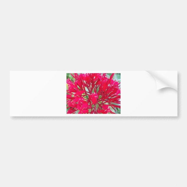 Pegatina Para Coche Hermosas flores rojas alucinantes (Frente)