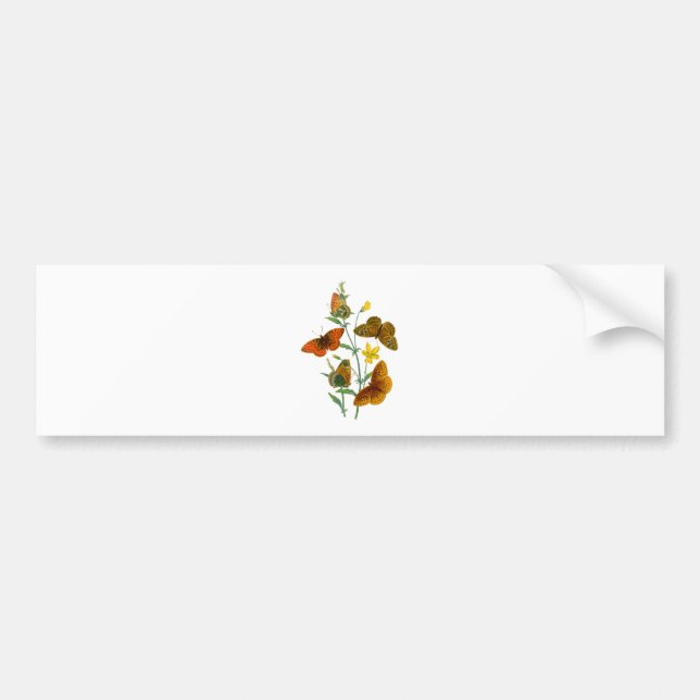 Pegatina Para Coche Hermosas mariposas (Frente)