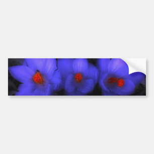 Pegatina Para Coche Hermoso cromo azul morado florece