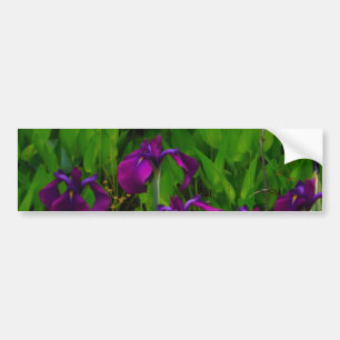 Pegatina Para Coche Hermoso Iris Morado