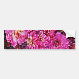 Pegatina Para Coche Hermosos dahlias rosas
