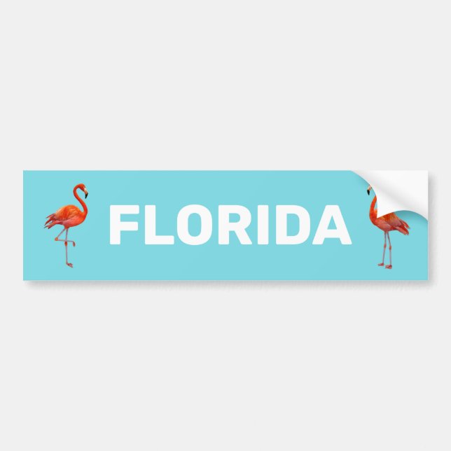 Pegatina Para Coche Hermosos flamencos de Florida en azul claro (Frente)