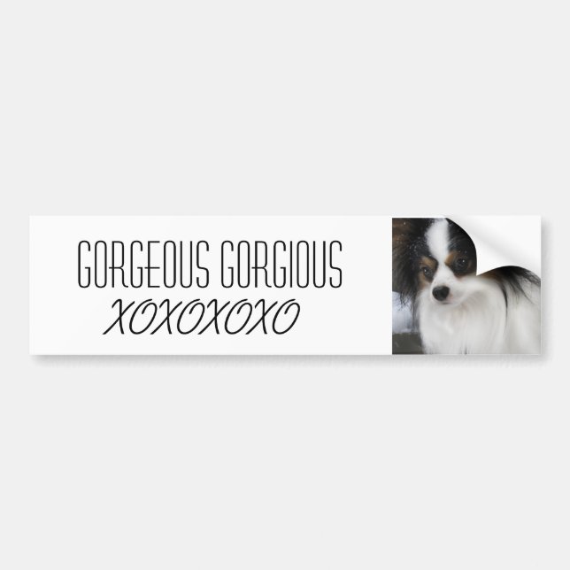 Pegatina Para Coche Héroe Merch del beso de Hershey (Frente)