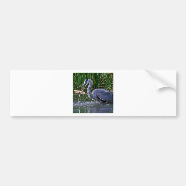 Pegatina Para Coche Heron Splash (Frente)