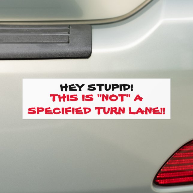 PEGATINA PARA COCHE HEY STUPID BUMPER STICKER PARA HONKERS (en coche)