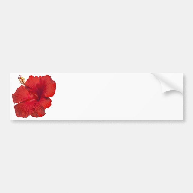 Pegatina Para Coche Hibisco rojo en el blanco - plantilla modificada (Frente)