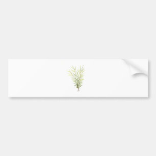 Pegatina Para Coche Hierbas Rosemarias