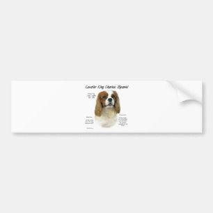 Pegatina Para Coche Historia de Cavalier King Charles Spaniel (Blenhei