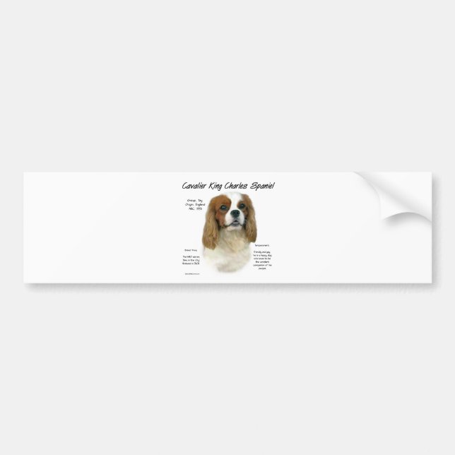 Pegatina Para Coche Historia de Cavalier King Charles Spaniel (Blenhei (Frente)