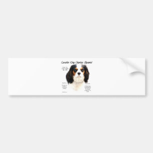 Pegatina Para Coche Historia de Cavalier King Charles Spaniel (tricolo