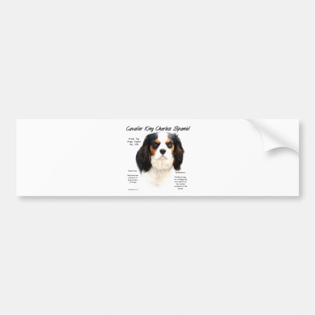 Pegatina Para Coche Historia de Cavalier King Charles Spaniel (tricolo (Frente)