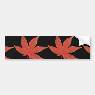Pegatina Para Coche Hoja de arce japonesa atractiva
