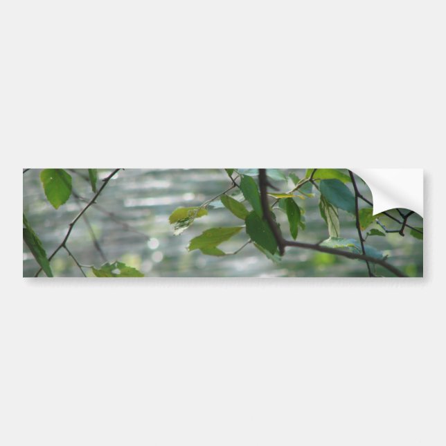 Pegatina Para Coche Hojas del verde de la esperanza (Frente)