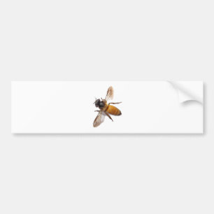 Pegatina Para Coche Honey Bee