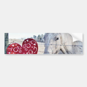 Pegatina Para Coche HORSE Valentine