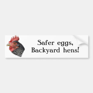 Pegatina Para Coche ¡Huevos más seguros, gallinas del patio trasero!