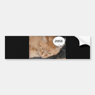 Pegatina Para Coche Humor para gato/teléfono celular de naranja tabby