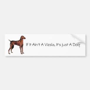 Pegatina Para Coche Hungarian_Vizsla, si no es un Vizsla, es ju…