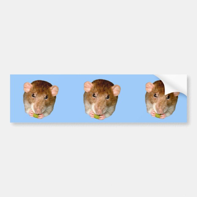 Pegatina Para Coche Hungry Rat Bumper Sticker (Frente)