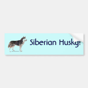 Pegatina Para Coche ¡Husky siberiano!