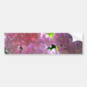 Pegatina Para Coche Hydrangeas rosadas radiantes