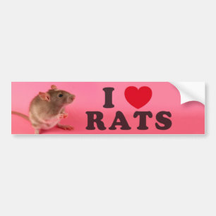 Pegatina Para Coche I arrolló a Ratas (en pink)