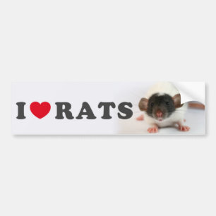 Pegatina Para Coche I arrolló (cute) a Ratas