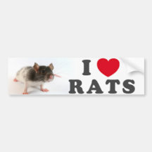 I arrolló (variegated) a Ratas
