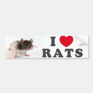 Pegatina Para Coche I arrolló (variegated) a Ratas