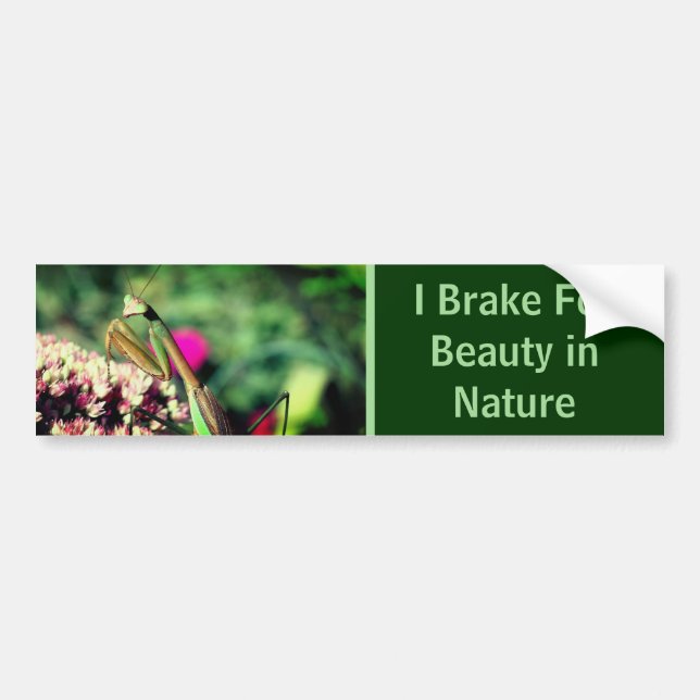 Pegatina Para Coche I Brake For Beauty Praying Mantis Nature  (Frente)