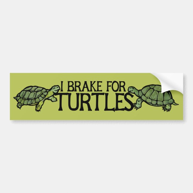 Pegatina Para Coche I Brake for Turtles (Frente)