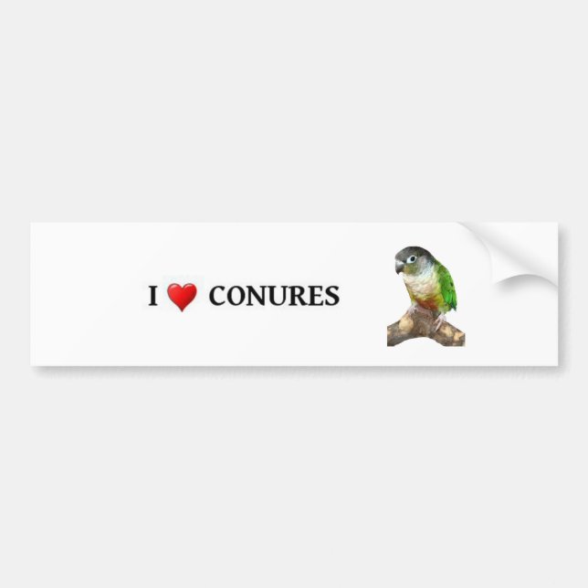 Pegatina Para Coche I Conures (Frente)