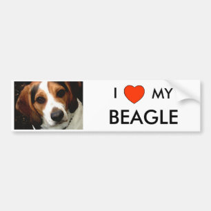Pegatina Para Coche I corazón MI BEAGLE