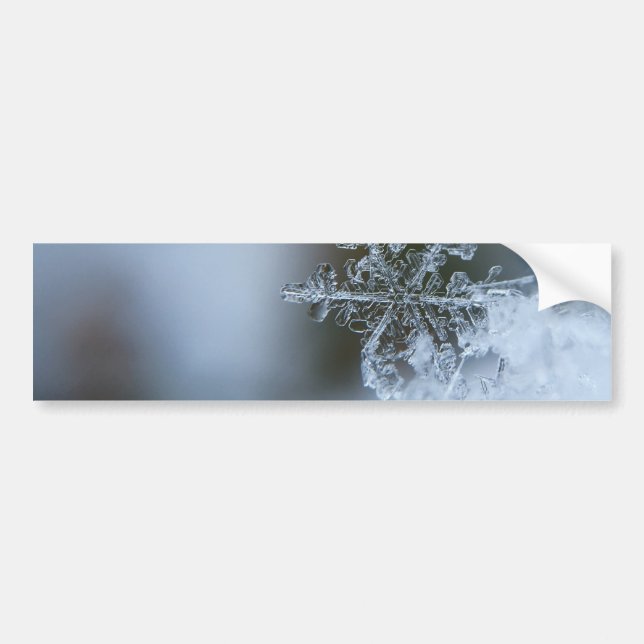 Pegatina Para Coche Icy Snowflake (Frente)