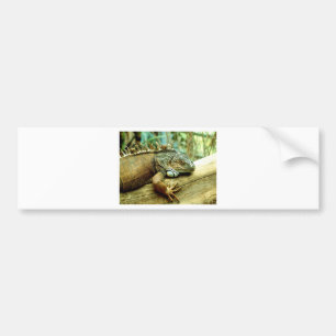 Pegatina Para Coche Iguana
