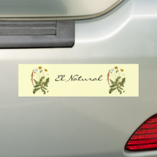 Pegatina Para Coche Ilustración Vintage de Diente de León
