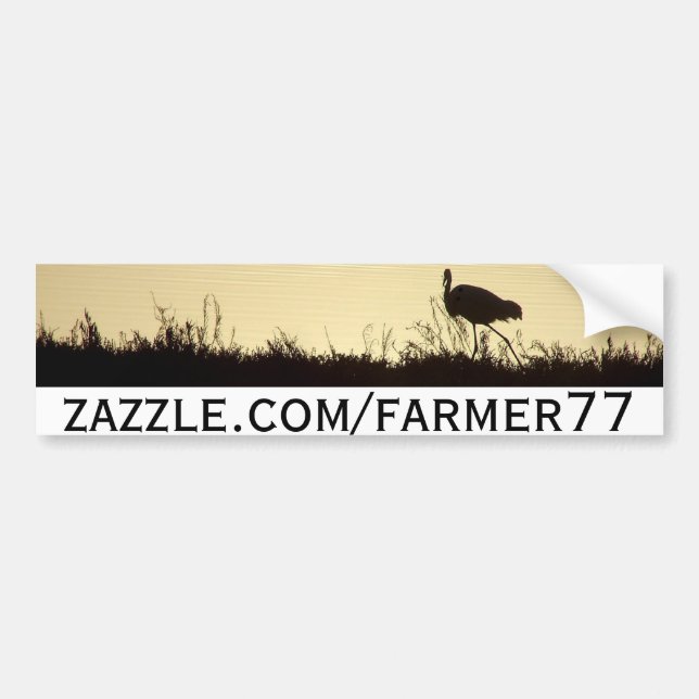 Pegatina Para Coche Ilustraciones Bumpersticker de la fauna (Frente)