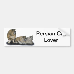 Pegatina Para Coche Ilustraciones del amante del gato persa