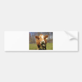 Pegatina Para Coche Imagen 001