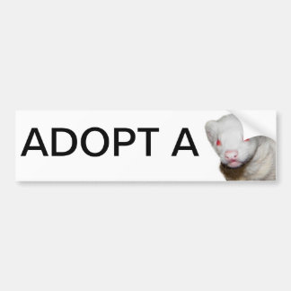 Pegatina Para Coche Imagen de Albino Ferret