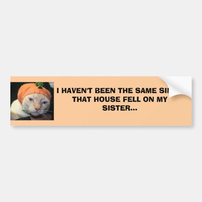 PEGATINA PARA COCHE IMG_2073, NO HE SIDO EL MISMO SINCETHAT HOU… (Frente)